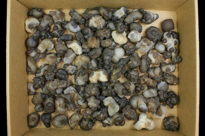 Lot: to Natural Chalcedony Nodules - Pieces #137958